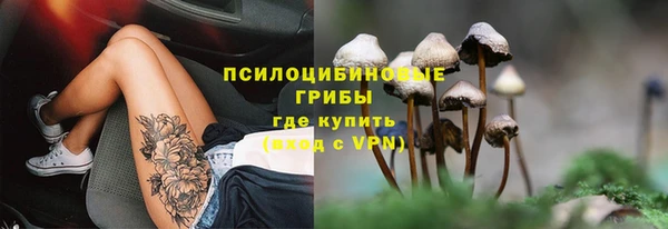 прущие крисы Балахна