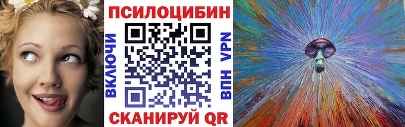 Псилоцибиновые грибы Psilocybine cubensis  Купить закладки  Гремячинск 
